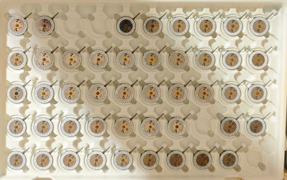 Mecanism ETA 400.111